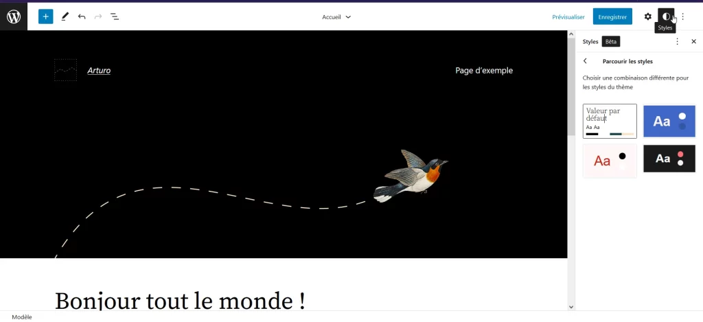 Le panneau des changements de styles dans WorDpress 6