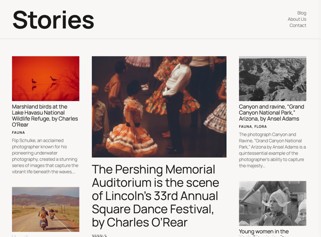 twenty twenty five wordpress theme article
