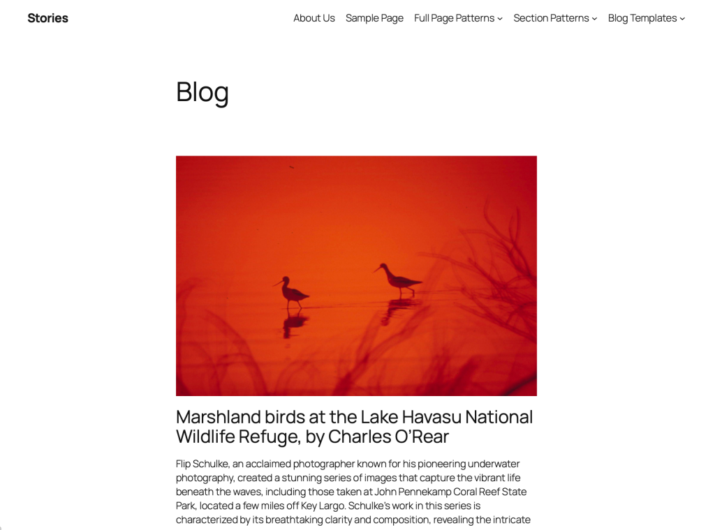 twenty twenty five wordpress theme blog